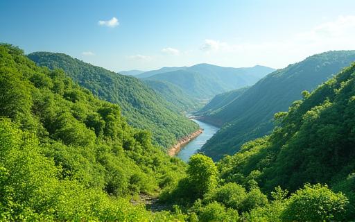 緑化された鉱山跡地